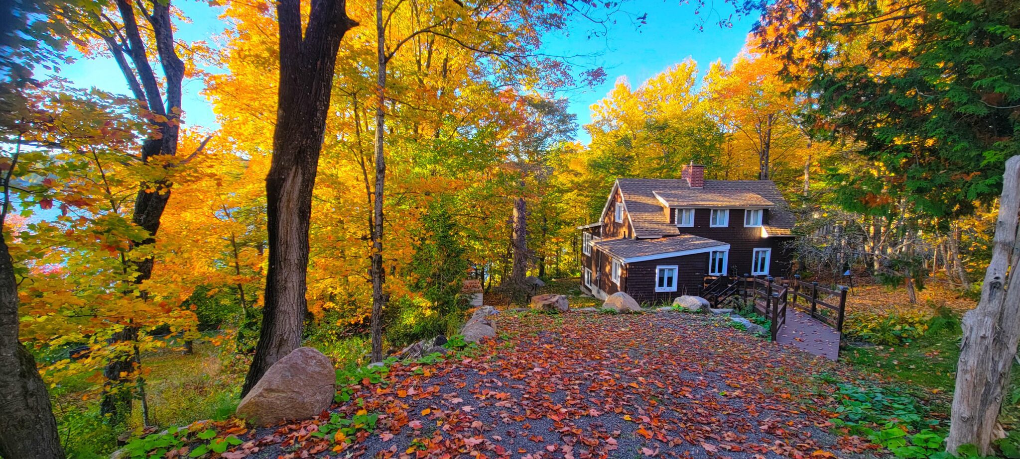 Autumn forest in Canada, in the Mont Tremblant region, Quebec, Canada